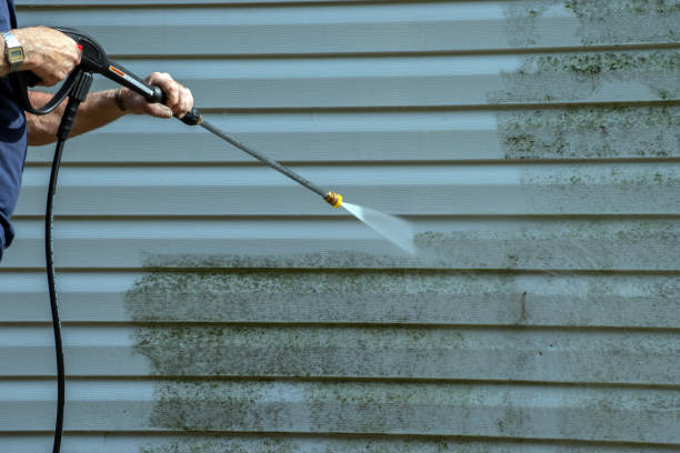 Best Garage Pressure Washing  in Belle Isle, FL