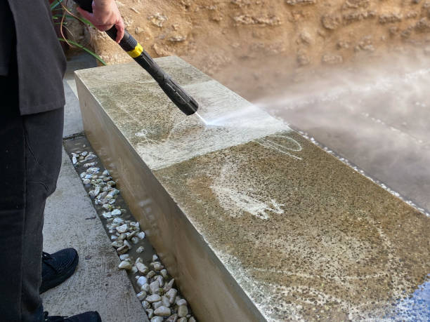 Best Roof Power Washing Services  in Belle Isle, FL