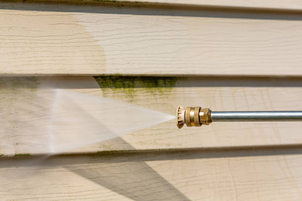 Best Deck Cleaning Services  in Belle Isle, FL